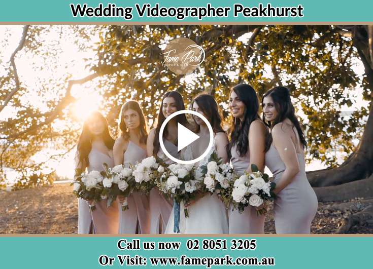 Bride and her bride's maids Peakhurst NSW 2210